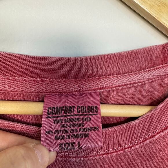 Delta Zeta Sweatshirt Comfort Colors Size Large Washed Red Pink Crewneck - Picture 2 of 12